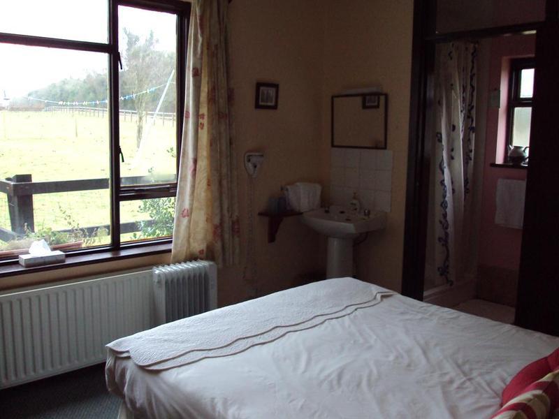 Belmont House Daire Waterford Dış mekan fotoğraf